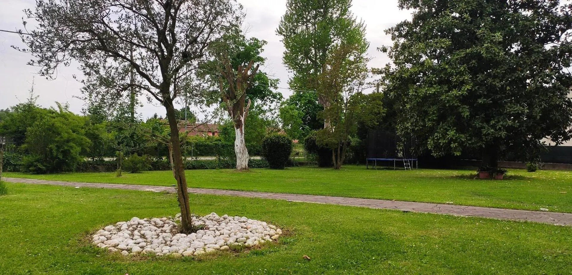 M&G House Near Venice By Train, With Pool Apartment Noale